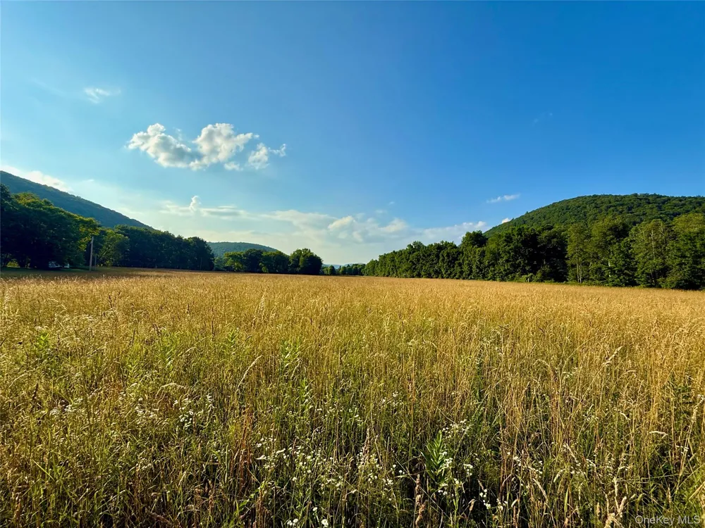 222 Stockport Road Hancock, NY 13783