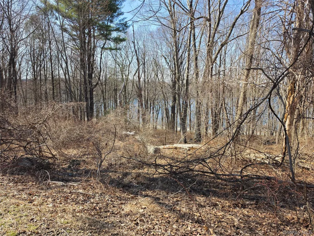 6 Willow Road Carmel, NY 10512