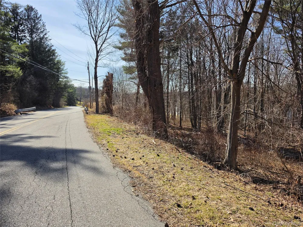 6 Willow Road Carmel, NY 10512