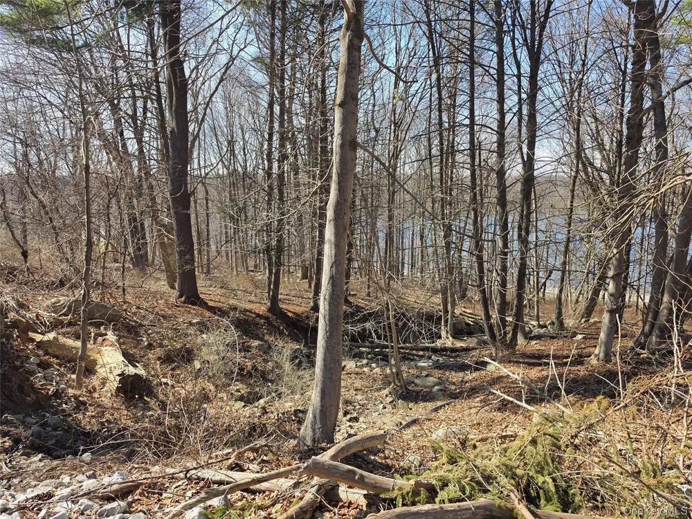 6 Willow Road Carmel, NY 10512