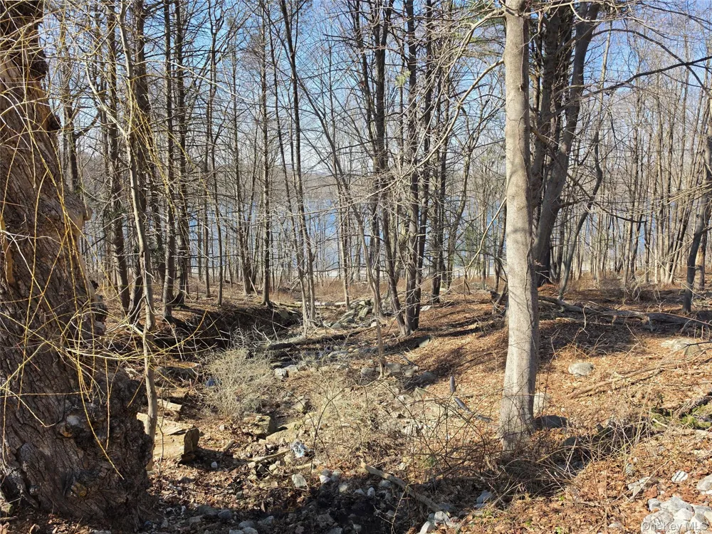 6 Willow Road Carmel, NY 10512