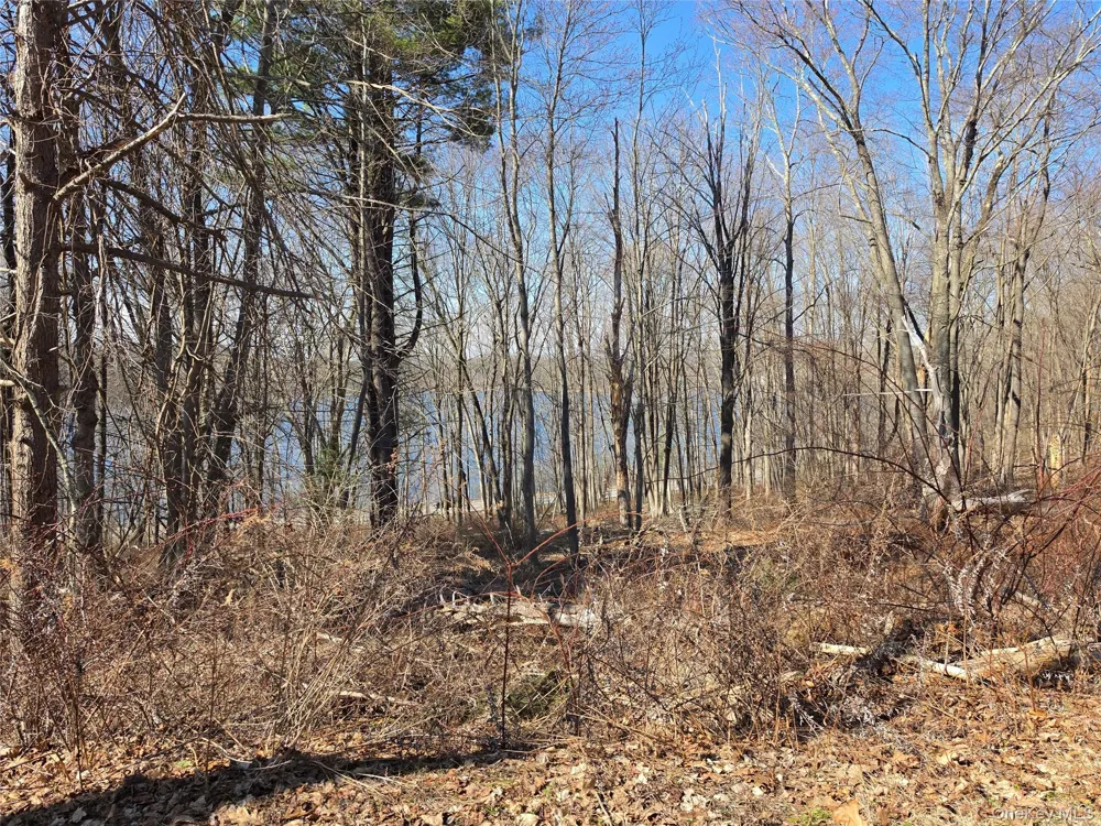 6 Willow Road Carmel, NY 10512