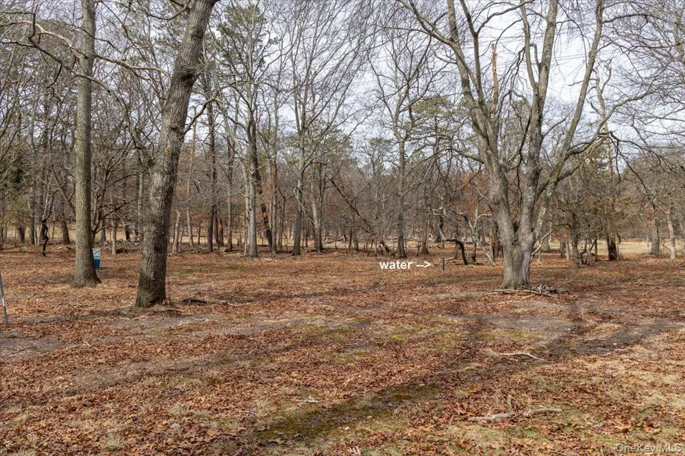 309 Primrose Path Manorville, NY 11949