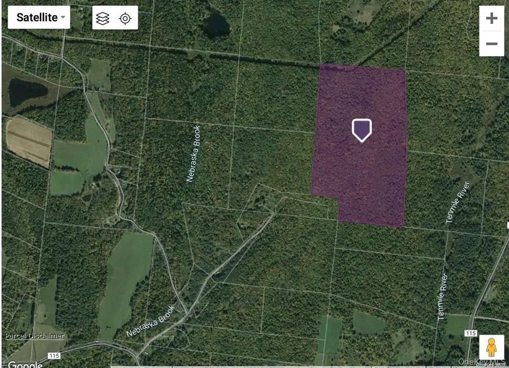 Cr-115 Cochecton, NY 12726