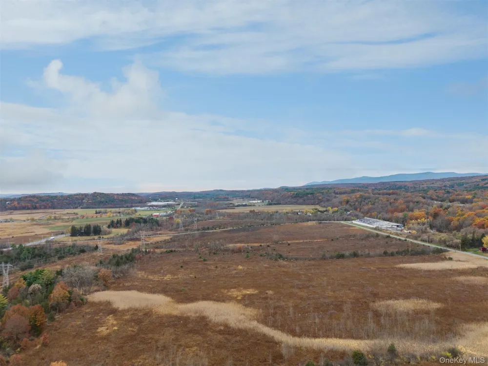TBD Old Plank Road Coxsackie, NY 12051
