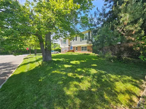 5 Ireland Place