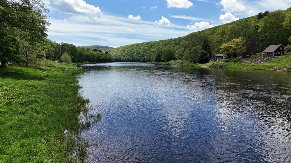 860 River Road Callicoon, NY 12723