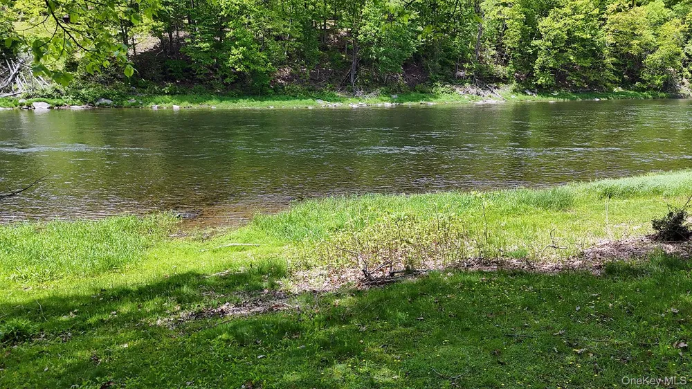 860 River Road Callicoon, NY 12723