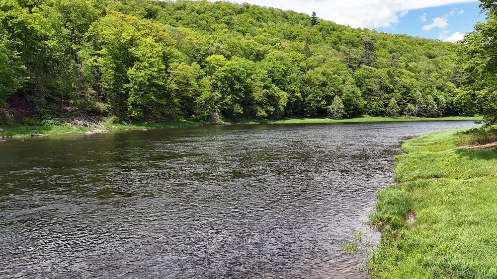860 River Road Callicoon, NY 12723