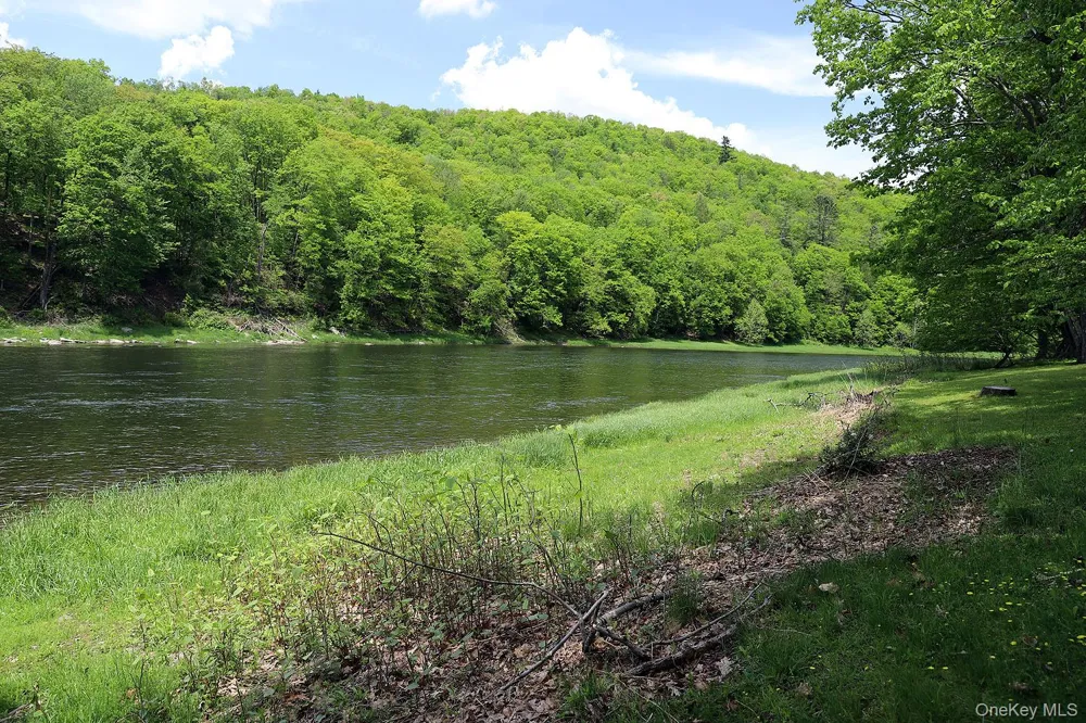 860 River Road Callicoon, NY 12723