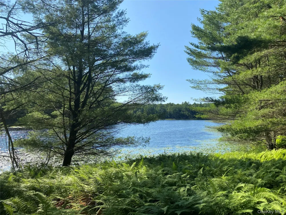 Address Not Shown Eldred, NY 12732