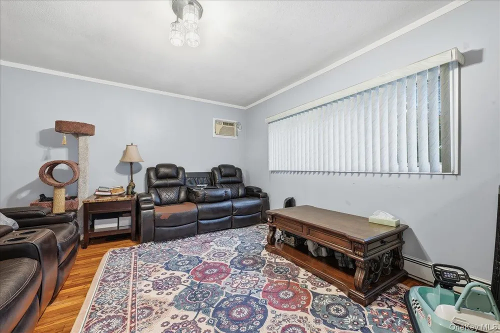 120 Bruce Terrace Mineola, NY 11501