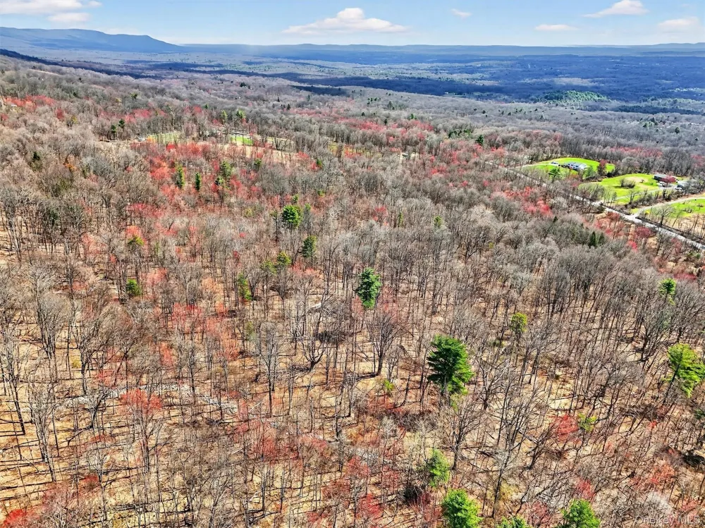 Horton Road Bloomingburg, NY 12721