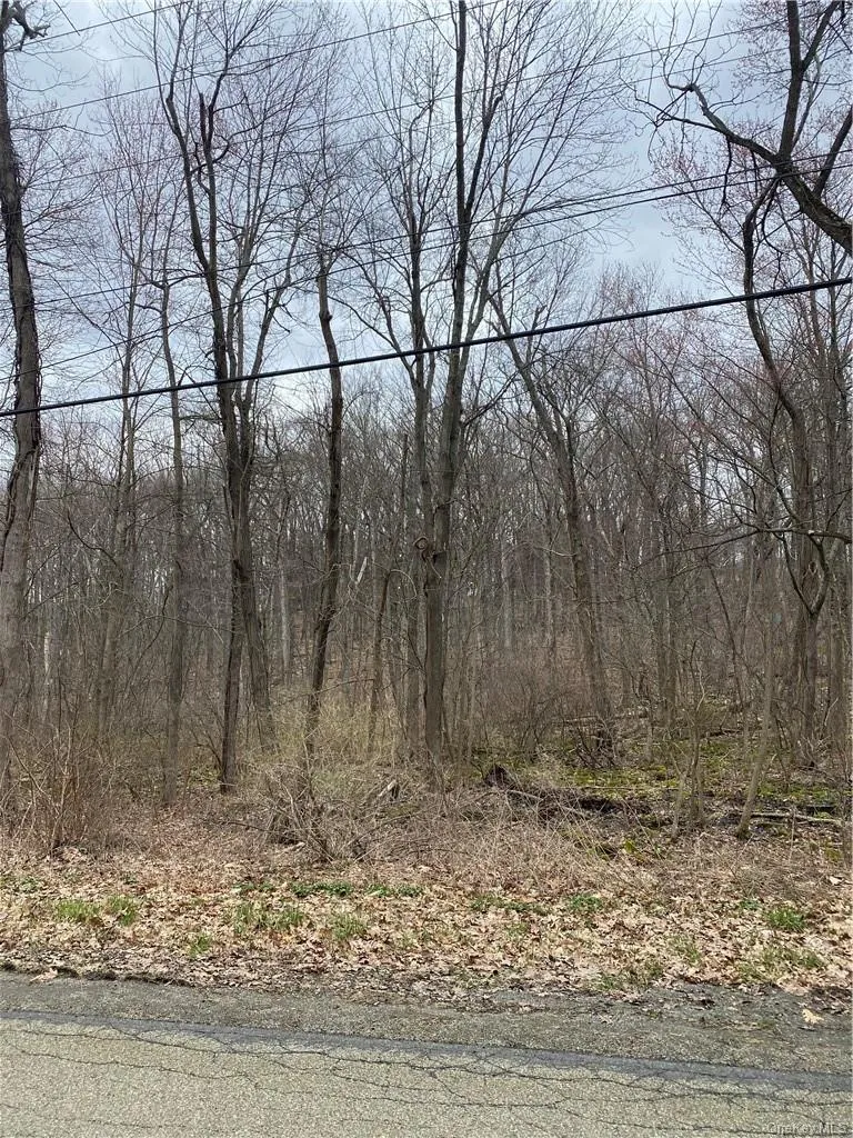 S Mill Street Newburgh, NY 12550