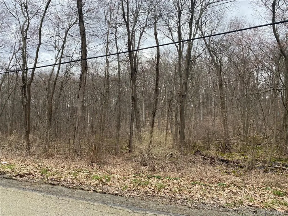 S Mill Street Newburgh, NY 12550