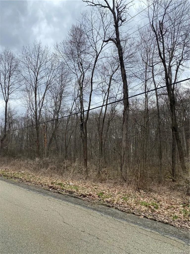 S Mill Street Newburgh, NY 12550