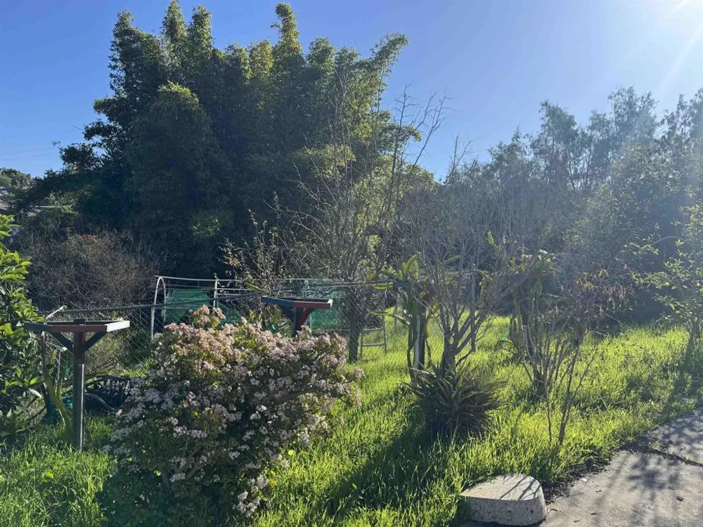 9317 Lamar Street Spring Valley, CA 91977