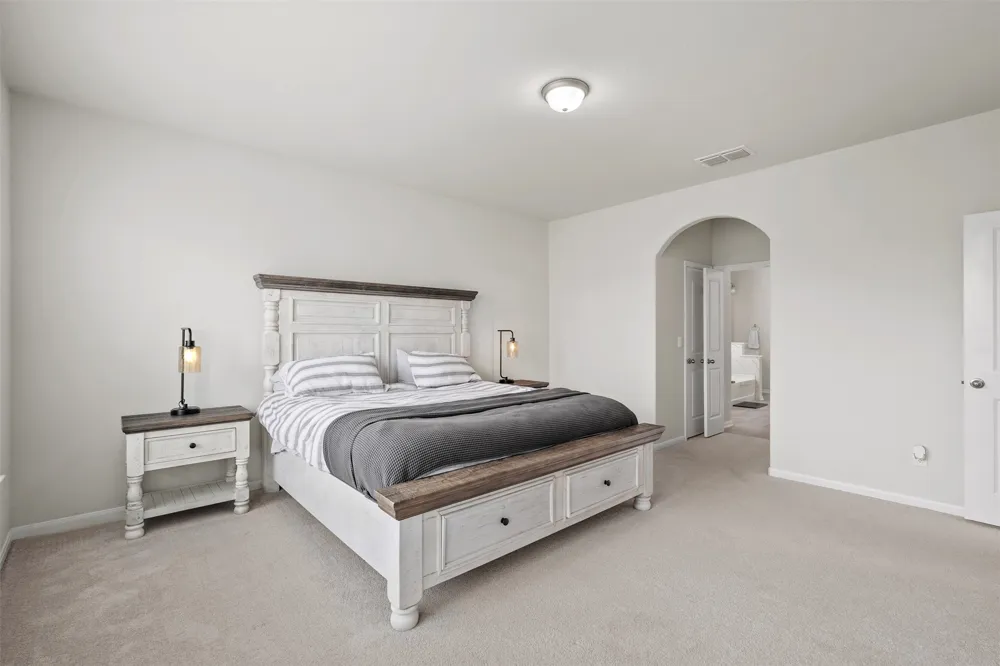 209 Mira Mesa Drive Liberty Hill, TX 78642
