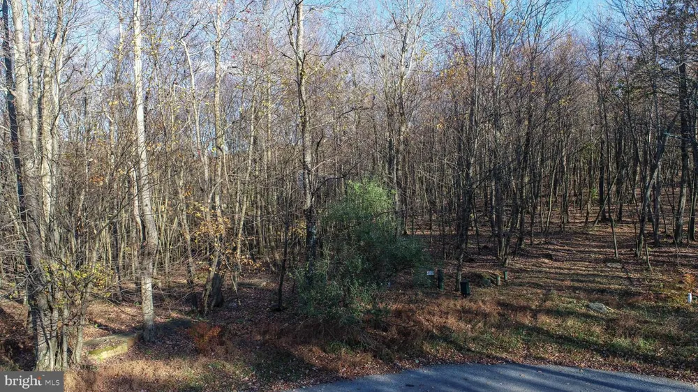 132 TARN DRIVE Oakland, MD 21550