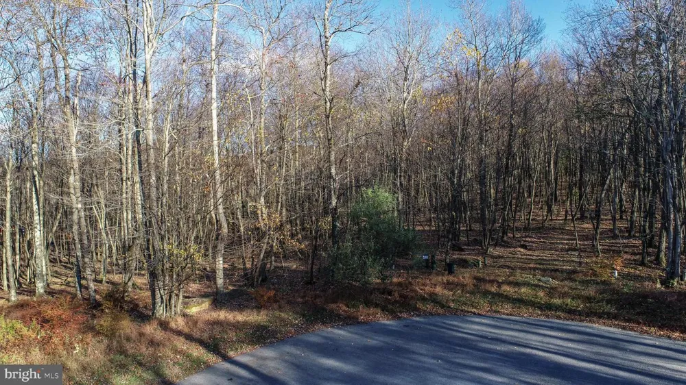 132 TARN DRIVE Oakland, MD 21550