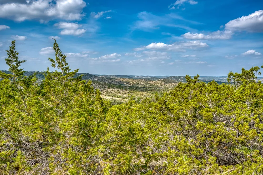 218 Saddle Wood Trail Comfort, TX 78013
