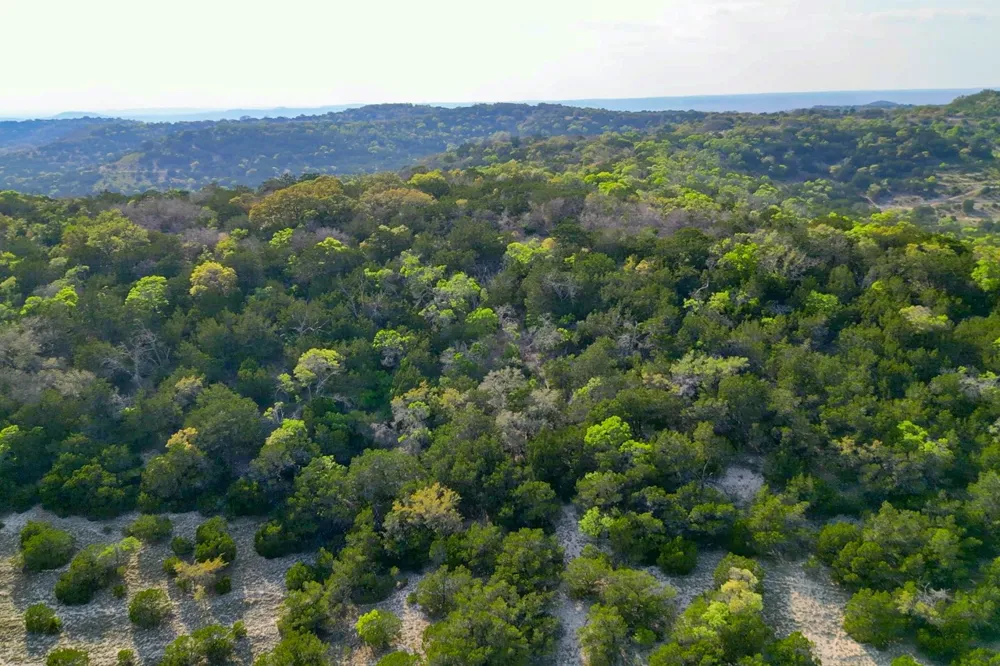 218 Saddle Wood Trail Comfort, TX 78013
