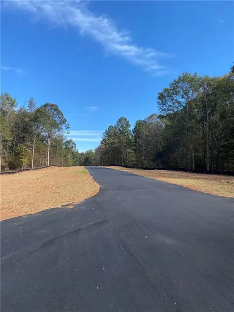 2000 Oconee River Drive, Lot 10