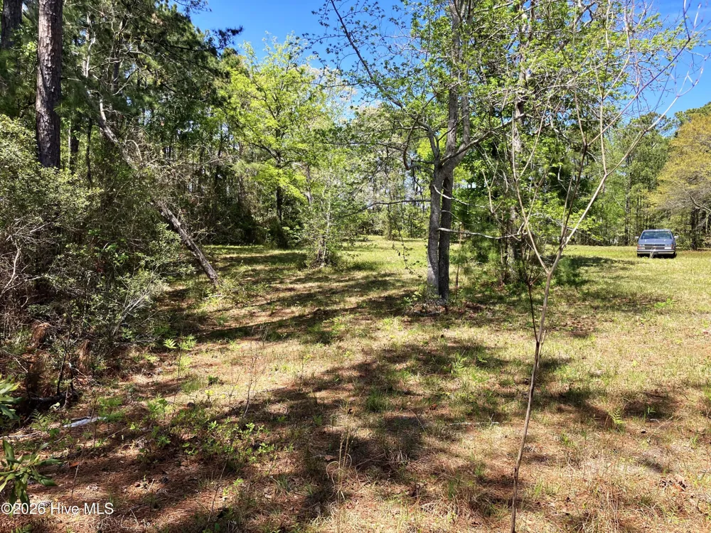 0 Lukeath Carter Drive Havelock, NC 28532