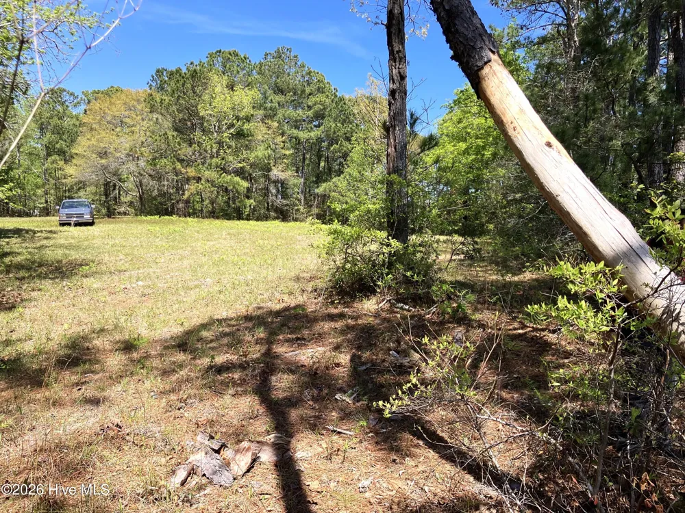 0 Lukeath Carter Drive Havelock, NC 28532