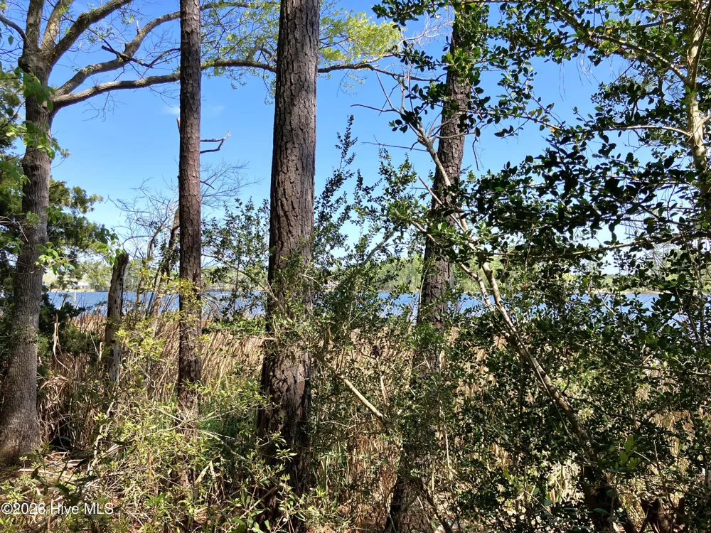 0 Lukeath Carter Drive Havelock, NC 28532
