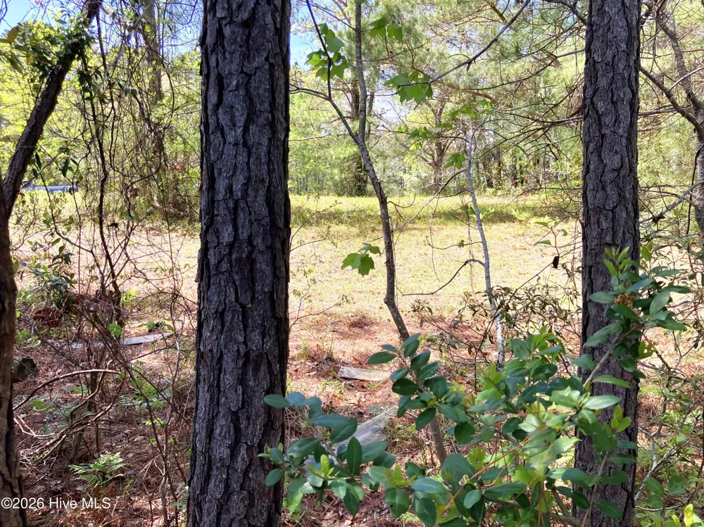 0 Lukeath Carter Drive Havelock, NC 28532