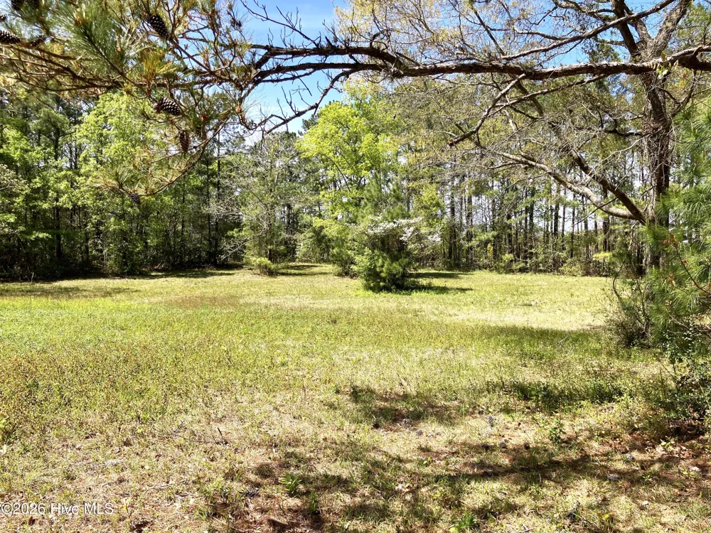 0 Lukeath Carter Drive Havelock, NC 28532