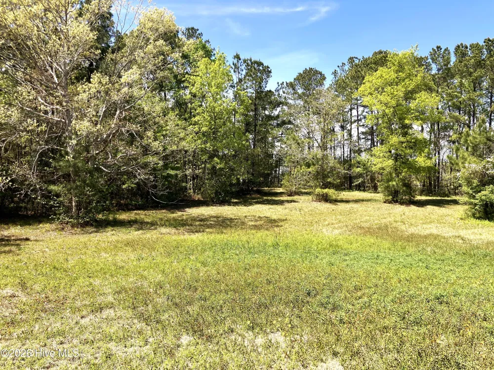 0 Lukeath Carter Drive Havelock, NC 28532
