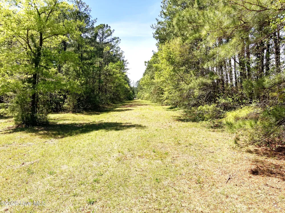 0 Lukeath Carter Drive Havelock, NC 28532