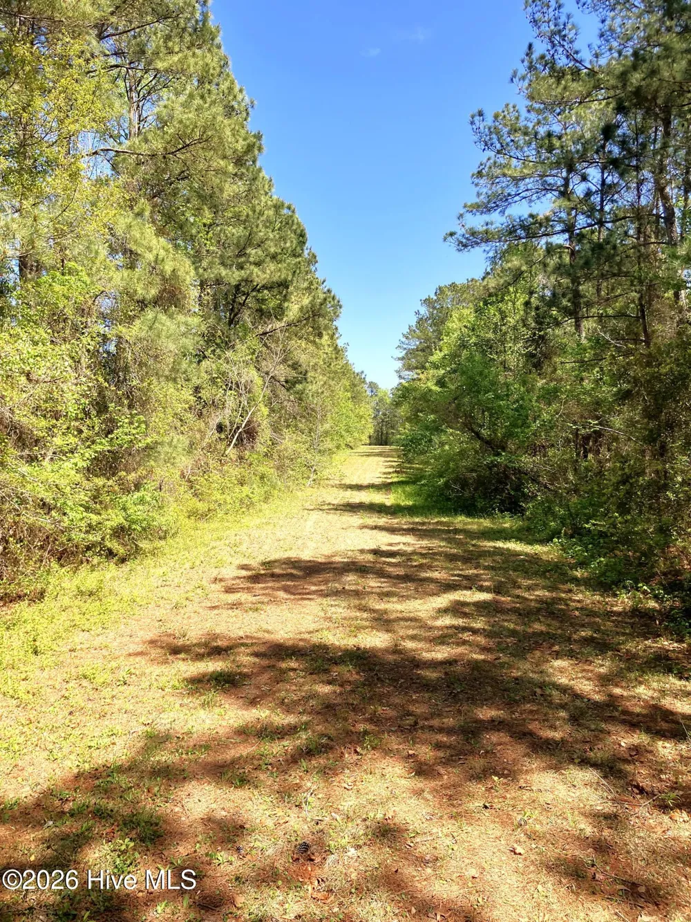 0 Lukeath Carter Drive Havelock, NC 28532