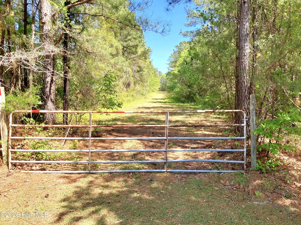 0 Lukeath Carter Drive Havelock, NC 28532