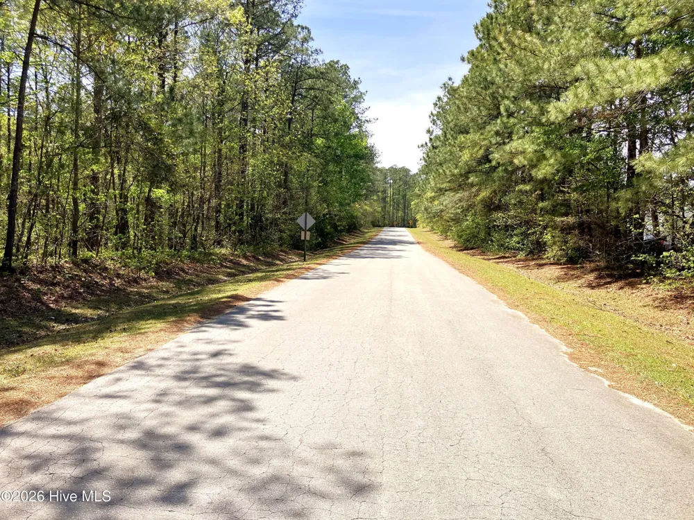 0 Lukeath Carter Drive Havelock, NC 28532