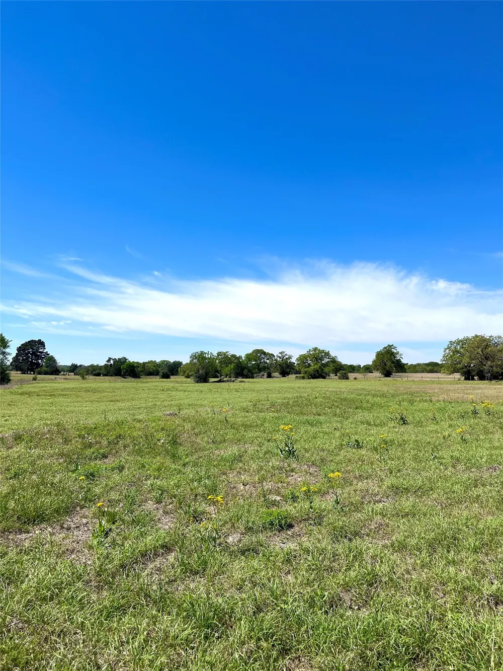 2654 County Road 329 Lincoln, TX 78948