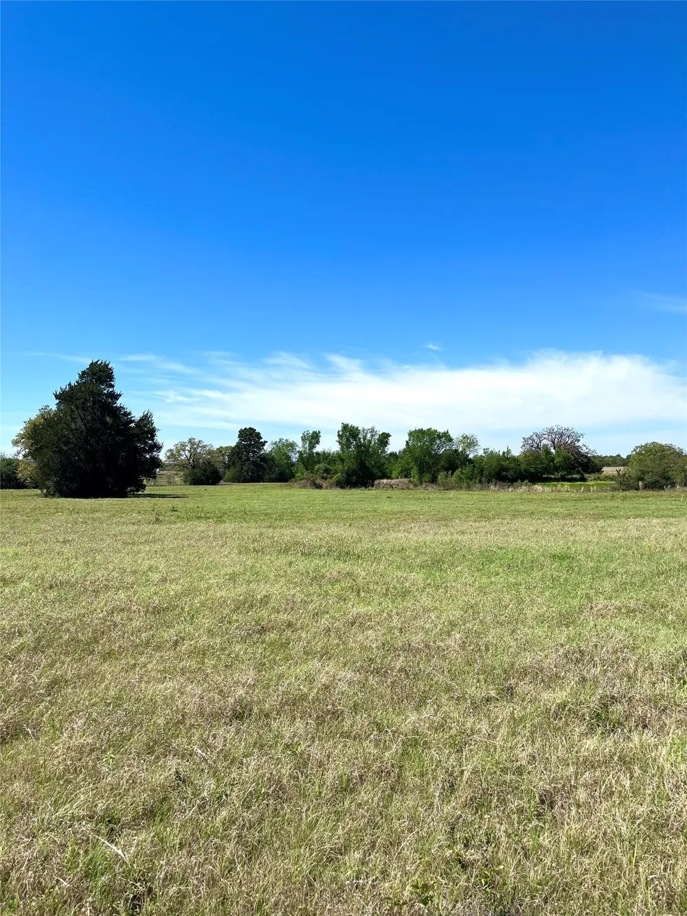 2654 County Road 329 Lincoln, TX 78948