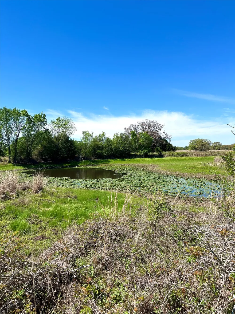 2654 County Road 329 Lincoln, TX 78948