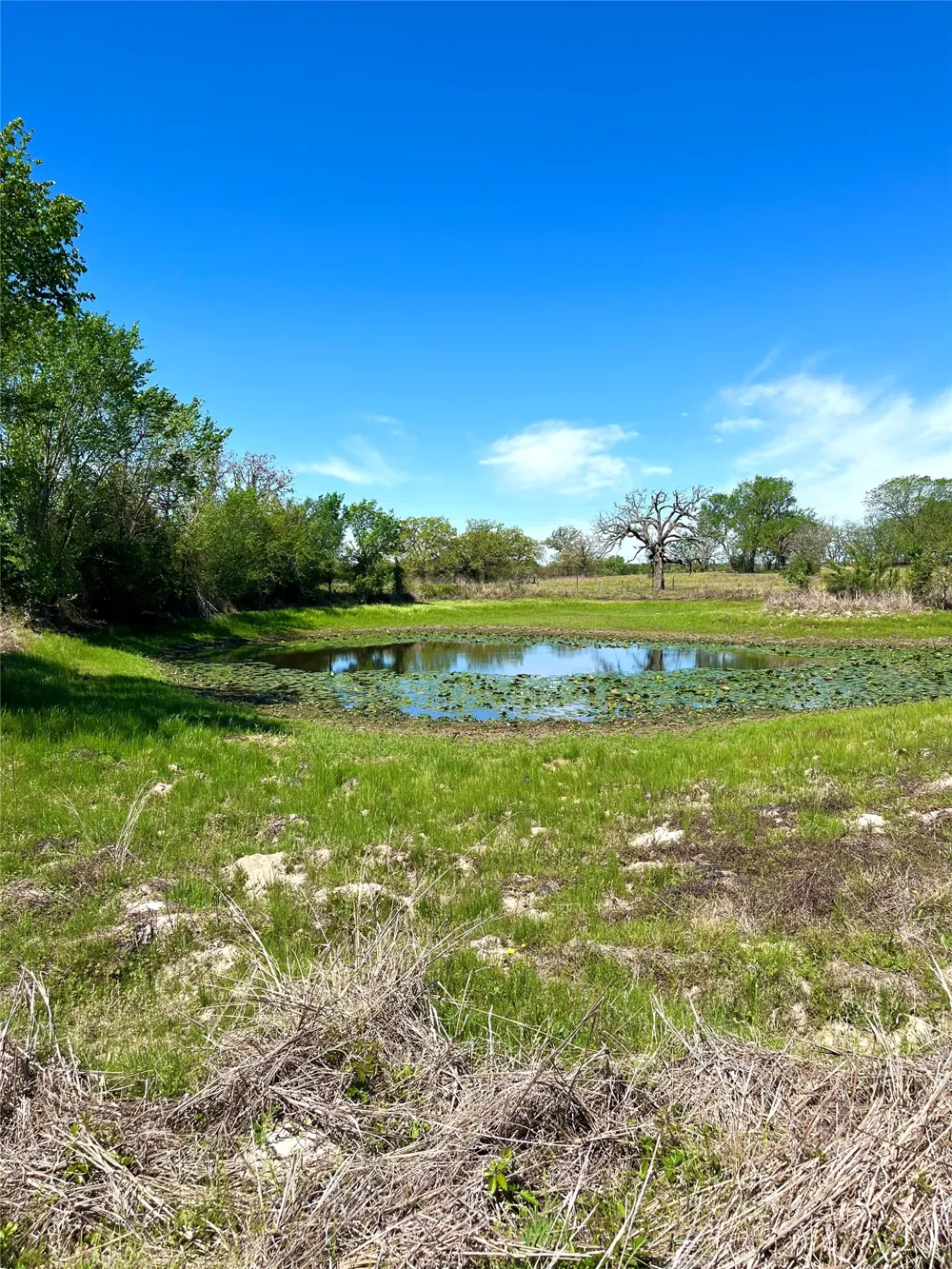 2654 County Road 329 Lincoln, TX 78948