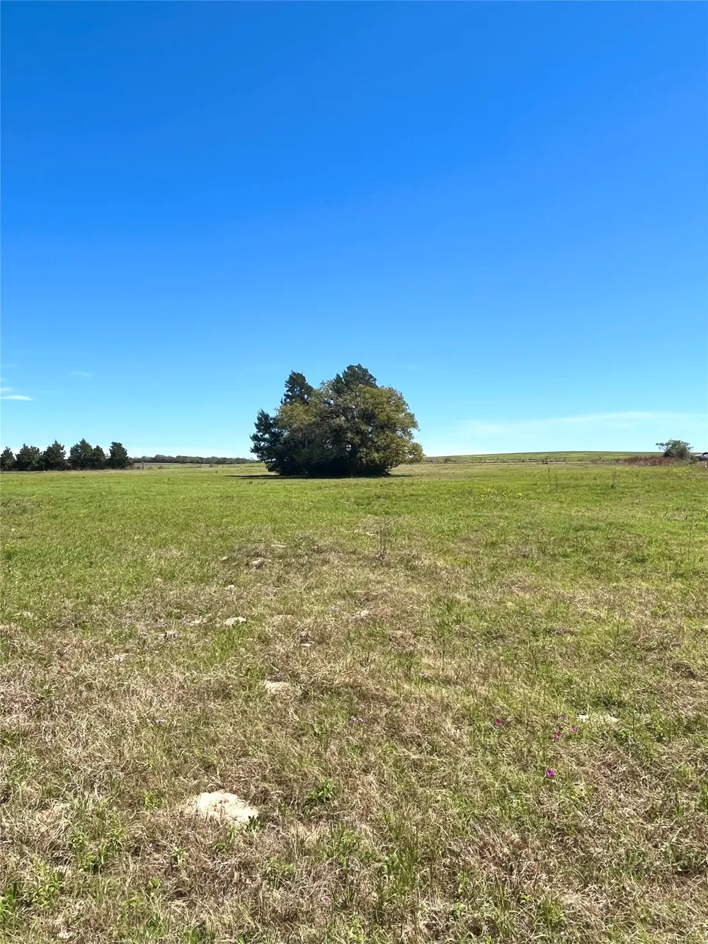 2654 County Road 329 Lincoln, TX 78948