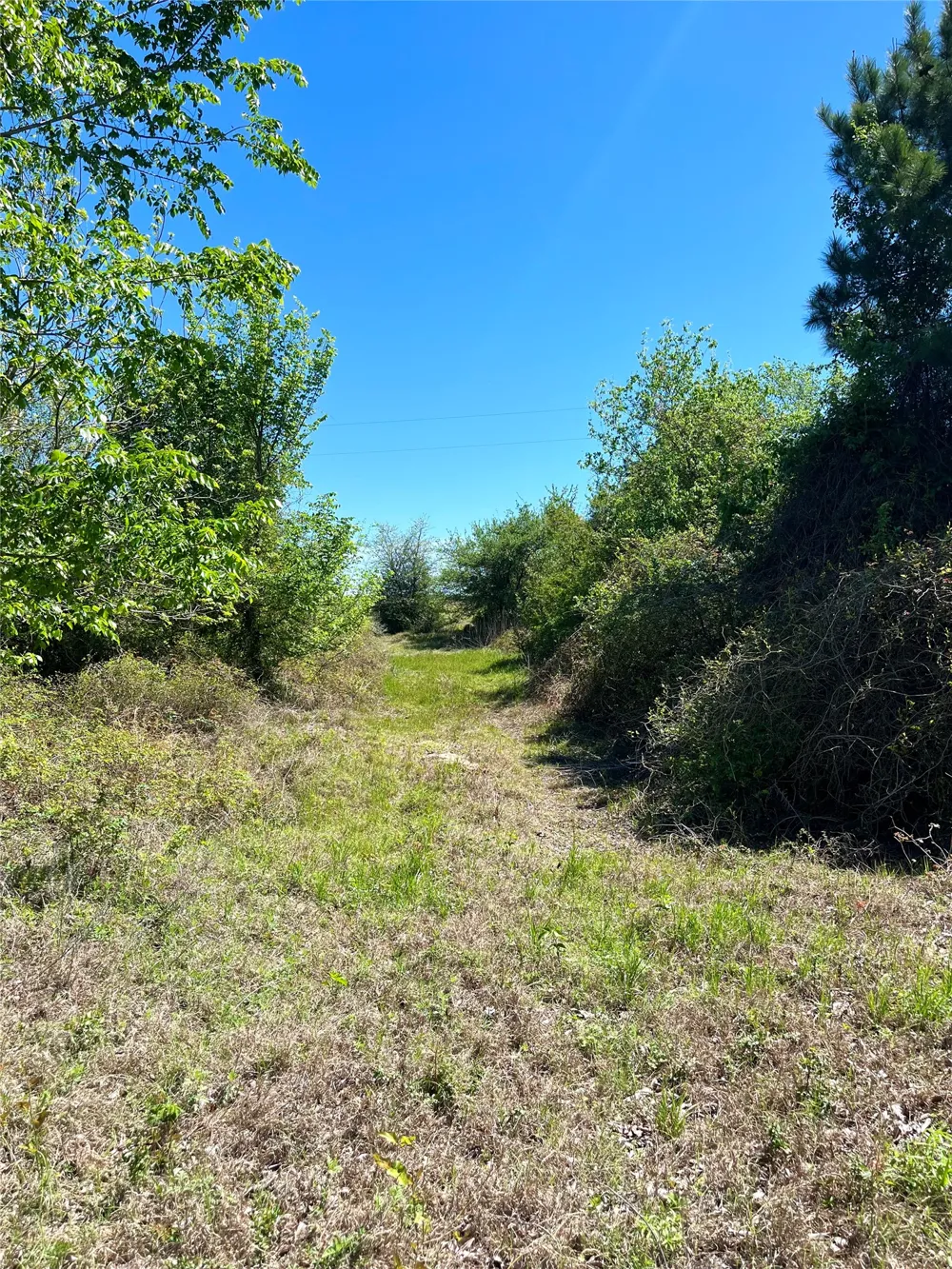 2654 County Road 329 Lincoln, TX 78948