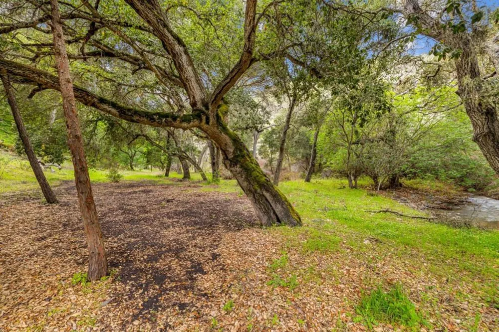 28750 Underwood Road Salinas, CA 93908