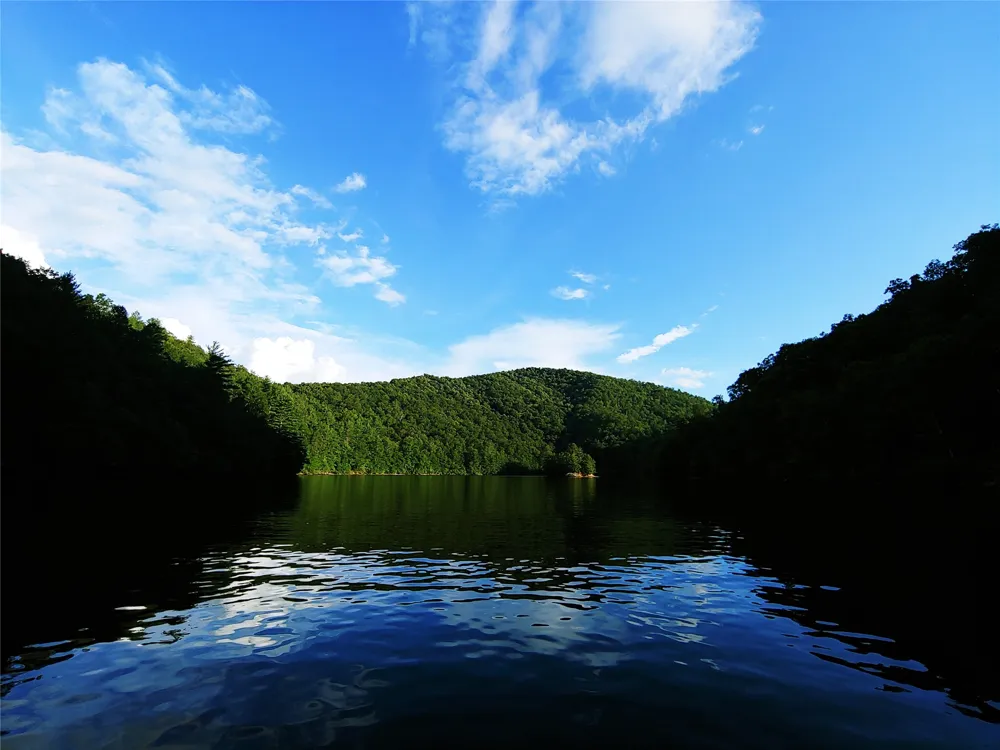 159 Songcatcher Court Tuckasegee, NC 28783