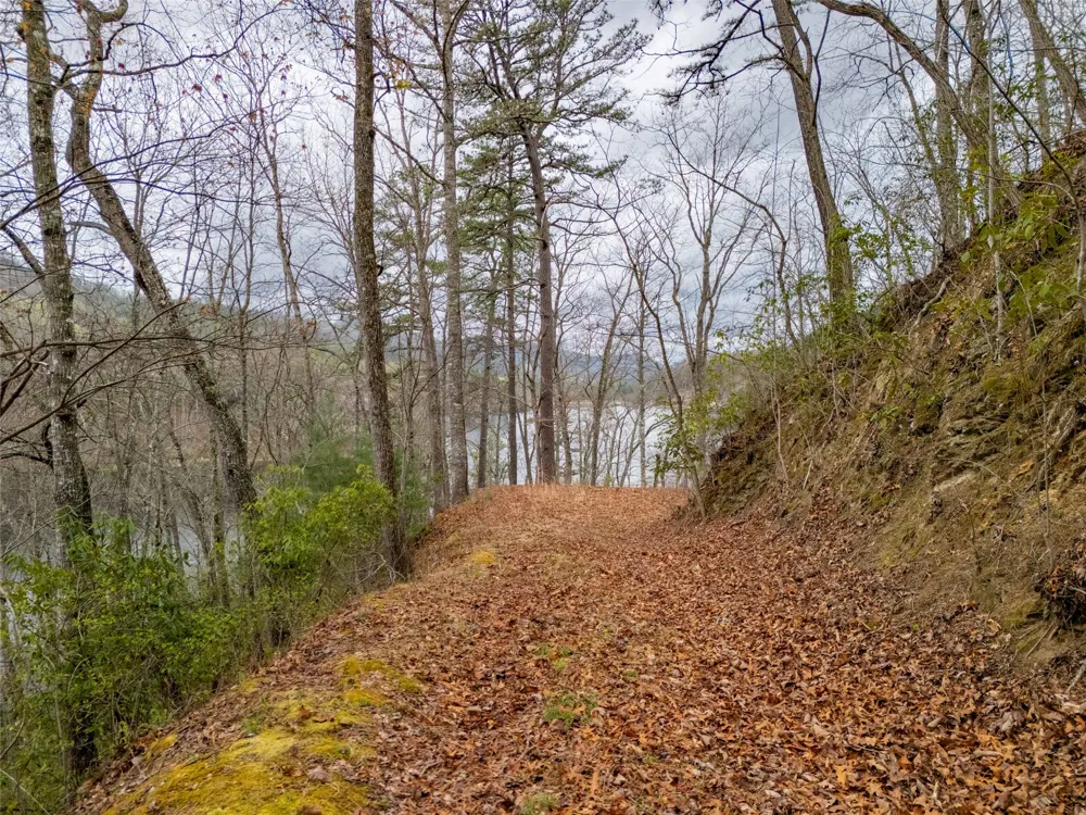 159 Songcatcher Court Tuckasegee, NC 28783