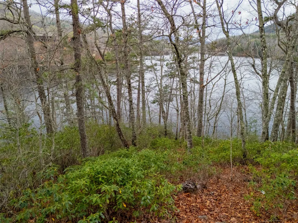 159 Songcatcher Court Tuckasegee, NC 28783