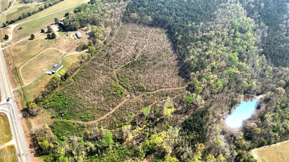 Highway 341 S Barnesville, GA 30204