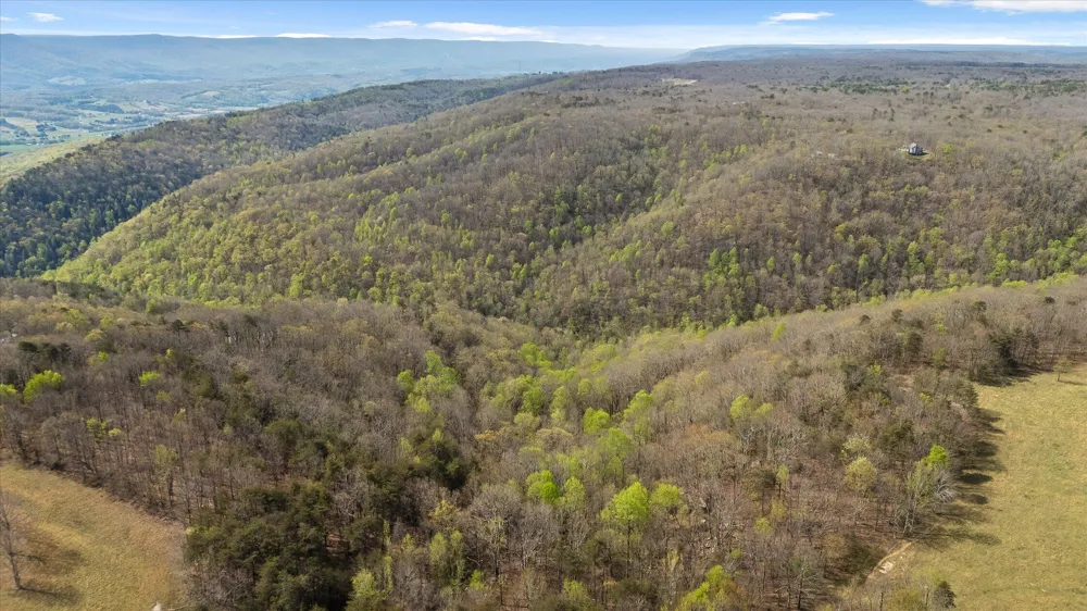Keener Hill Road Pikeville, TN 37367