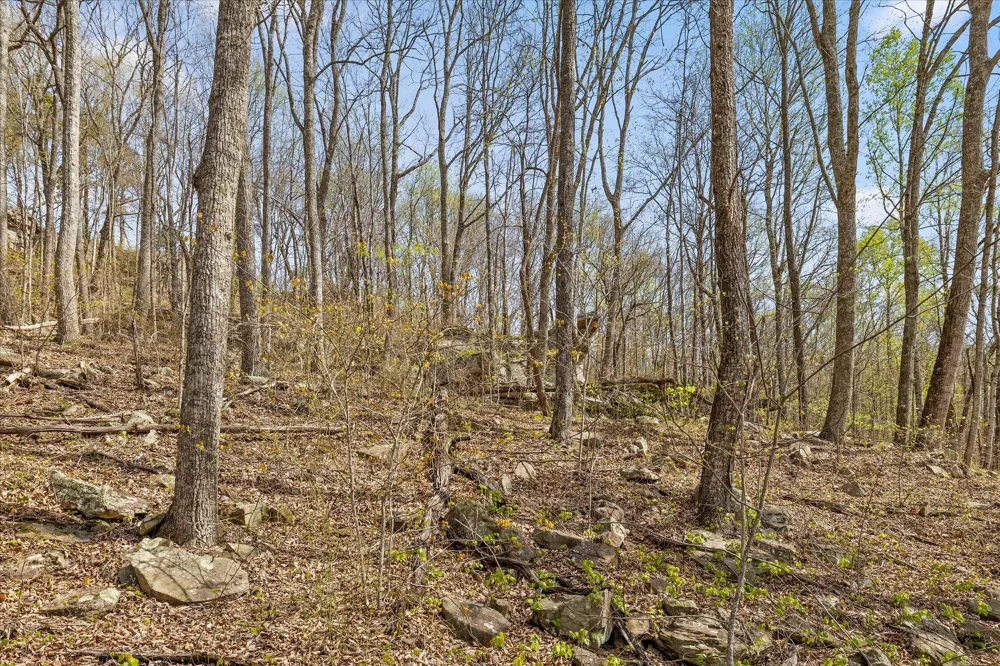 Keener Hill Road Pikeville, TN 37367